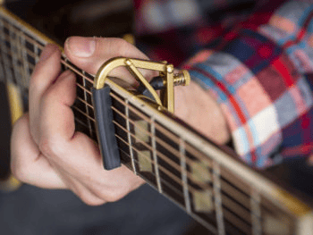 Shubb capo